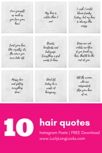 Download @LuvlyLongLocks' feminine social media posts. You'll get 10 FREE hair quote posts for Instagram.